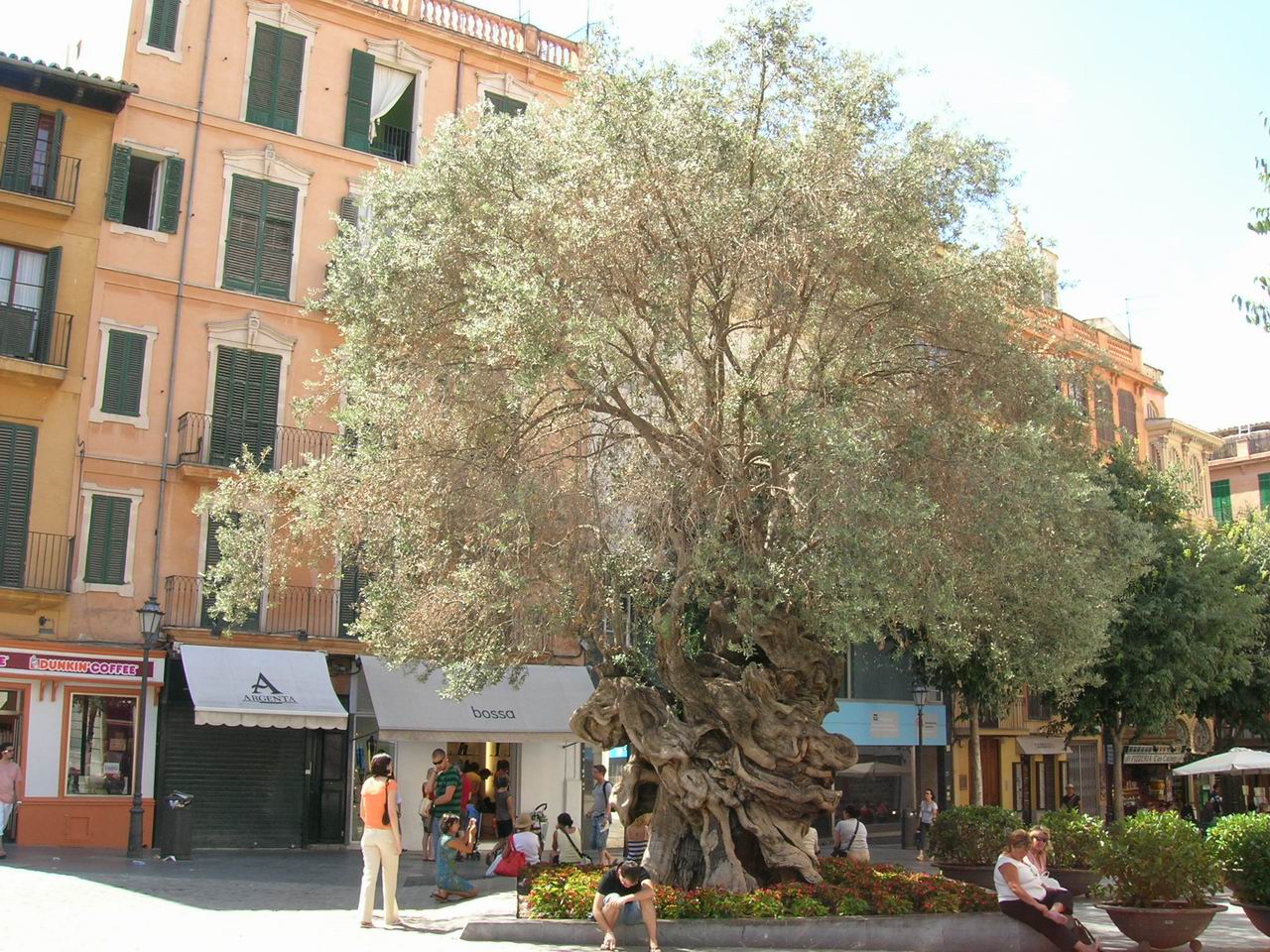 Palma de Mallorca
